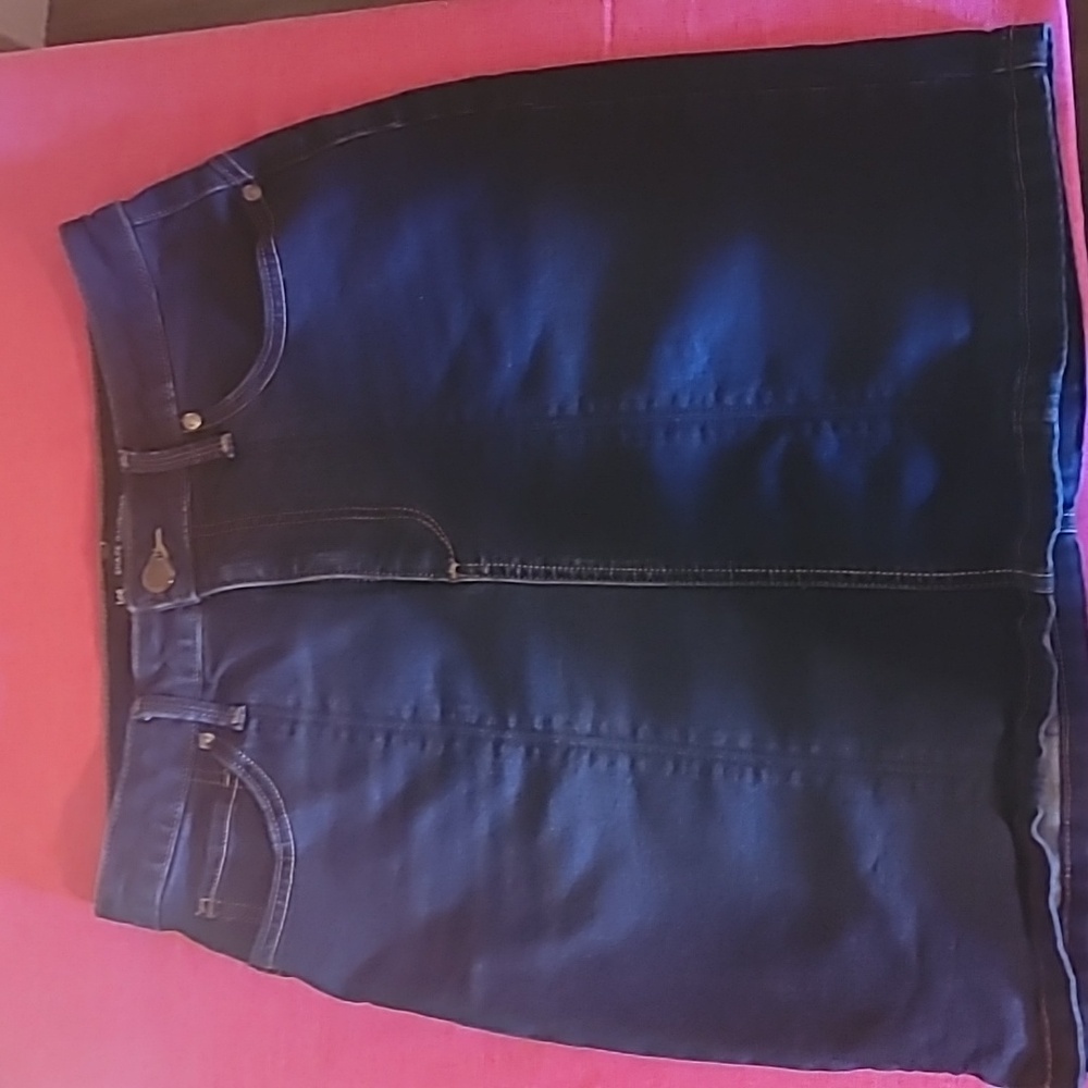 Lee Blue Slim Fit Skirt